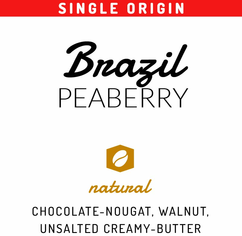 Brazil - Peaberry