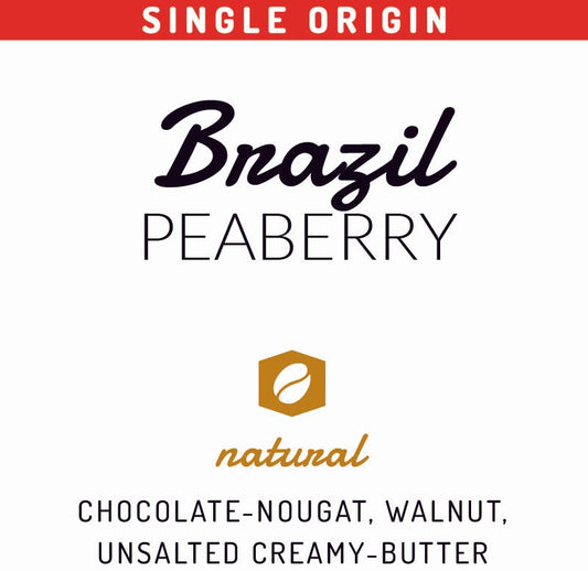 Brazil - Peaberry